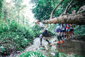 BIB: 
                            <button type="button" onclick="openModal(25456024)" class="btn btn-primary btn-sm float-right btn-popup" data-toggle="modal" data-target=".modal-high-quality">
                        <i class="fas fa-shopping-cart"></i> Add to Cart
                    </button>
                                            <button type="button" onclick="isThisMe(25456024, true)" class="btn btn-success btn-sm float-right btn-popup btn-isme hidden" data-toggle="tooltip" data-placement="bottom" title="นี่คือรูปของคุณใช่ไหม คลิกที่นี่เพื่อเอาเข้าอัลบั้ม">
                        <i class="fas fa-plus"></i> Add to album
                    </button>
                    <button type="button" onclick="isThisMe(25456024, false)" class="btn btn-warning btn-sm float-right btn-popup btn-isnotme hidden">
                        <i class="fas fa-ban"></i> Remove from album
                    </button>